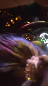 红灯等不及了，直接趴过来吃起来